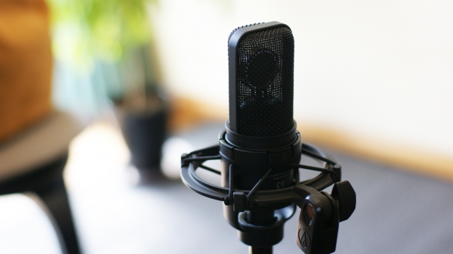 上手いのは当たり前！シンクロ率120%！声音に特徴のある一流声優紹介！其の３