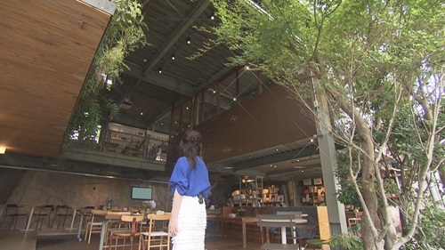 第23回モーニング「コンパニオン・プランツ」